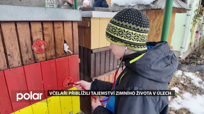 Včelařský kroužek Ambrožici přiblížil lidem tajemství zimního života v úlech