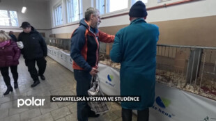 BEZ KOMENTÁŘE: Chovatelské výstavě ve Studénce se dařilo