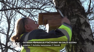 Ostrava připravuje ptačí budky na další sezónu. Letos břibudou i budky pro netopýry