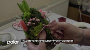 BEZ KOMENTÁŘE: SAK Studénka připravil workshop s mechem a hyacintovou cibulkou