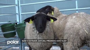Národní zemědělské muzeum v Ostravě zaplnili příznivci ovčí vlny