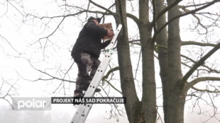 Projekt Náš sad pokračuje, sýkorníky už visí v parku Boženy Němcové