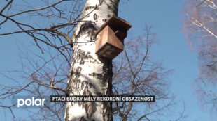 Ptačí budky v Ostravě měly rekordní obsazenost