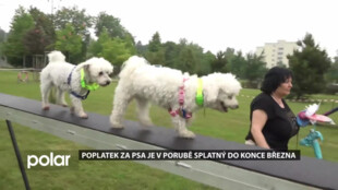 Poplatek za psa je v Porubě splatný do konce března. Liší se podle počtu psů a bydliště