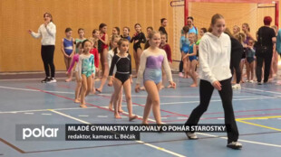 Mladé gymnastky bojovaly v tradiční soutěži o pohár starostky Frýdlantu nad Ostravicí