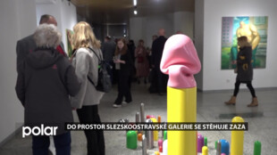 Do prostor Slezskoostravské galerie se stěhuje ZaZa, obvod tím ušetří a galerie získá větší prostory