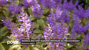 Radnice Ostravy-Jihu opět rozdává příspěvek na předzahrádky