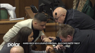 Hard Rico se k loupeži přiznal ale chce nižší trest. Hrozí mu 7 let vězení a milion korun