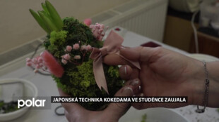 Japonská technika kokedama ve Studénce zaujala