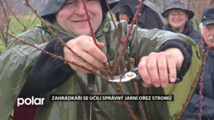 Zahrádkáři se v palkovickém sadu učili správný jarní ořez stromů