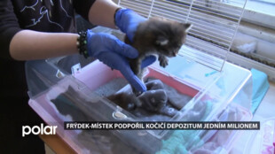 F-M: Milion pro Neposedné tlapky