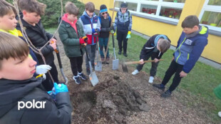 Rychvaldští školáci se zapojili do Dne Země, plnili úkoly, uklízeli a zasadili stromy