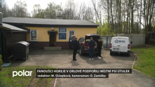 Fanoušci hokeje v Orlové podpořili místní psí útulek