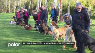 Frýdlantský kynologický klub pořádal 30. ročník soutěže pejskařů