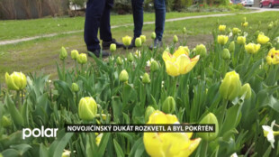 Novojičínský dukát rozkvetl a byl pokřtěn