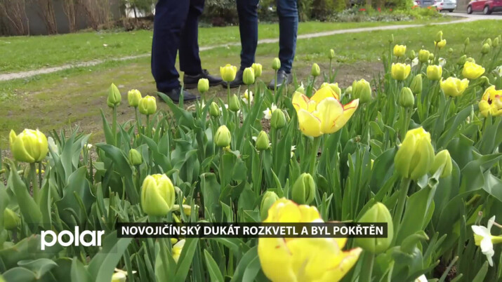 Novojičínský dukát rozkvetl a byl pokřtěn