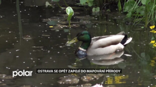 Ostrava se opět zapojí do mapování přírody. Loni byla nejúspěšnějším městem Evropy