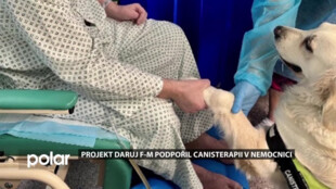 Canisterapie ve Frýdku-Místku získala podporu z projektu Daruj F-M