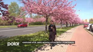Karviná kvete, město vítá jaro novou výsadbou