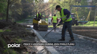 Práce v lesoparku Dubina jdou podle plánu. Hotovo bude na podzim