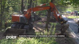 Práce na karvinské Dubině jdou podle plánu. Stavbaři museli stěhovat i žáby