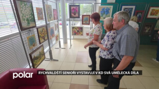 Rychvaldští senioři vystavují v kulturním domě svá umělecká díla
