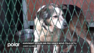 Karvinský útulek má pro dárce nové číslo účtu