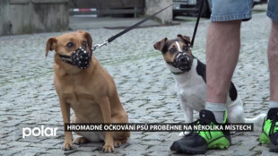 Hromadné očkování psů proběhne na několika místech