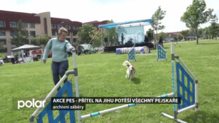 Ostravské pejskaře už počtvrté potěší akce Pes - Přítel na Jihu