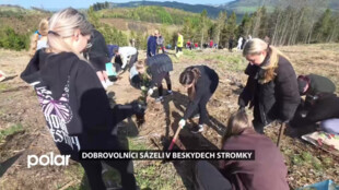 Dobrovolníci sázeli v Beskydech stromky, obnovovali les na Javorníku