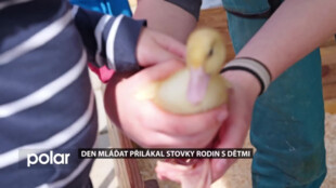 Den mláďat v areálu školního statku Masarykovy střední školy zemědělské a přírodovědné v Opavě přilákal stovky rodin s dětmi