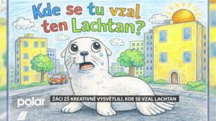 Žáci ostravských ZŠ kreativně vysvětlovali, kde se vzal lachtan v logu ZŠ Volgogradská