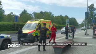 Vraždu ženy v Havířově má na svědomí problémový schizofrenik