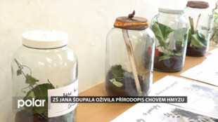 ZŠ Jana Šoupala oživila přírodopis chovem hmyzu. Děti pozorovaly pakobylky i lišaje smrtihlava