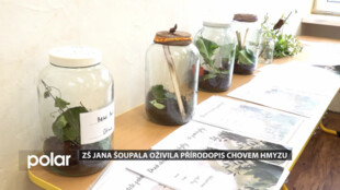 ZŠ Jana Šoupala oživila přírodopis chovem hmyzu. Pro další rok chystá chov afrických šneků