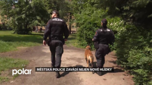 Městská policie zavádí v Karviné několik novinek