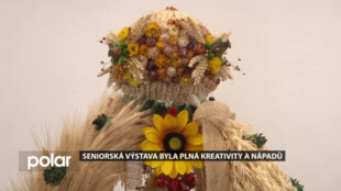 Senioři vystavovali v Karviné své výrobky, ty překvapovaly nápaditostí