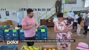 Havířov uspořádal v životických sadech pro veřejnost Jablkový den