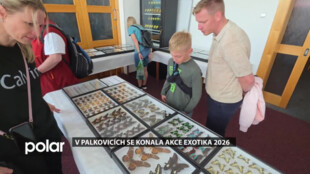 V Palkovicích se konala Exotika 2026 s expozicí kaktusů, sukulentů, motýlů i papoušků