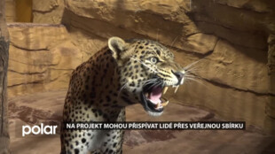 ZOO Ostrava chce zlepšit podmínky pro velké kočky. Projektu má pomoci i veřejná sbírka