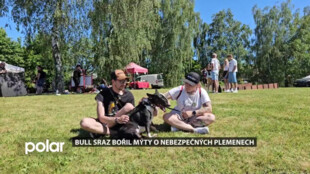 Druhý ostravský Bull sraz bořil mýty o nebezpečných plemenech