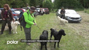 Vyšší odborné zkoušky retrieverů přilákaly do Jeseníků majitele, vůdce a vůdkyně z celé republiky