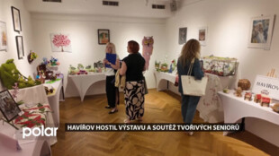 V Havířově ocenili nejzajímavější ruční práce seniorů z pěti měst