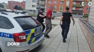 V minulosti pobodal a znásilnil desetiletou dívku. Vyšel z vězení a zaútočil znovu