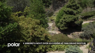 V Arboretu Nový Dvůr je k vidění až 7000 druhů rostlin