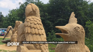 Do detailů vyvedené sochy z písku na Pustevnách letos zachraňují ohrožené ptáky
