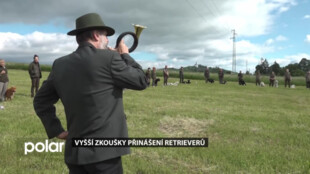 Krásné plemeno loveckých psů konalo své vyšší odborné zkoušky