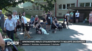 V útulku pro psy v Třebovicích se uskutečnilo každoroční setkání opatrovníků.