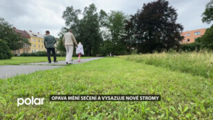 Opava mění péči o zeleň. Vyšší tráva pomáhá přírodě, přibývají i nové stromy