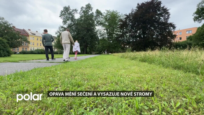 Opava mění péči o zeleň. Vyšší tráva pomáhá přírodě, přibývají i nové stromy